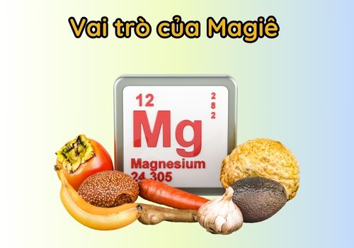 Vai trò của khoáng chất Magiê