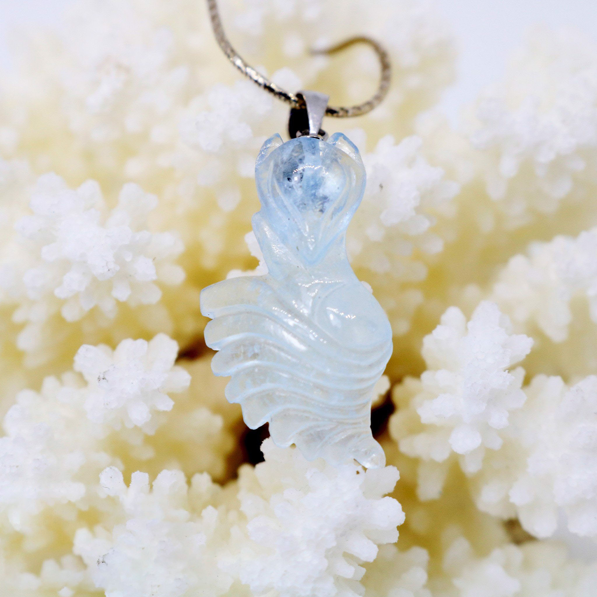 Hồ ly Aquamarine loại AA