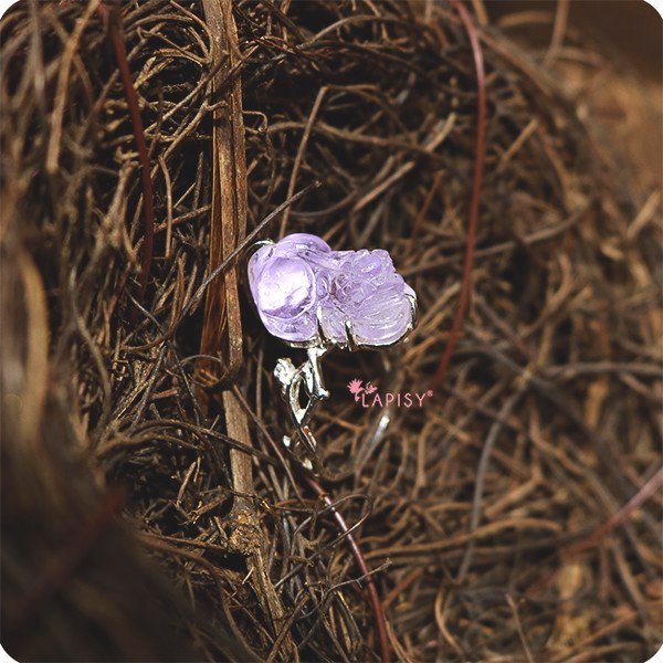 Butterfly Pea (Nhẫn tỳ hưu thạch anh)