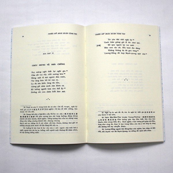 Thiếu Nữ Hoài Xuân Tình Thi