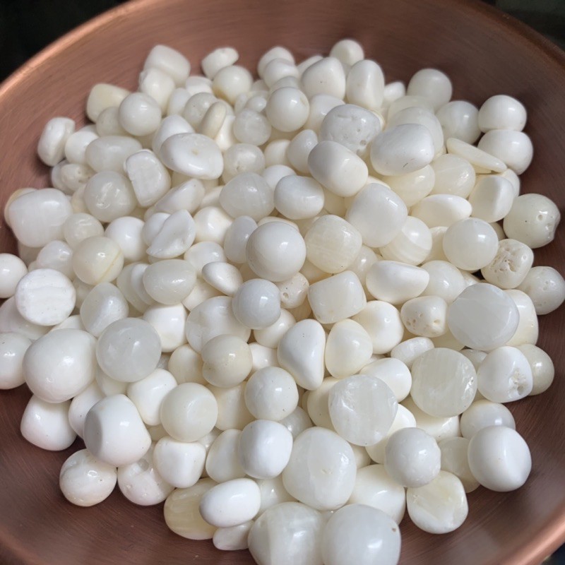 Đá xà cừ trắng đẹp 135k/300grams