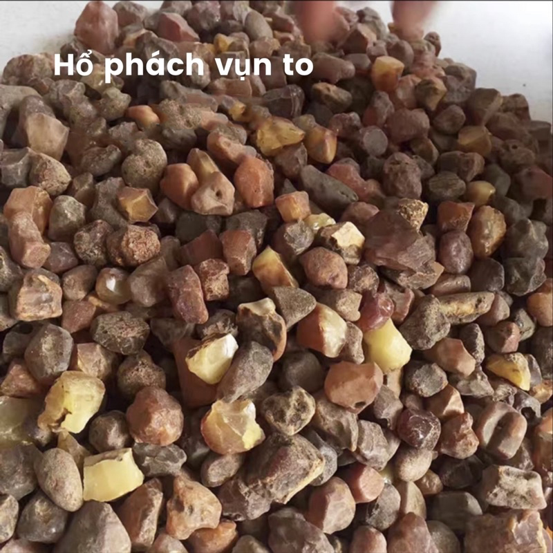 Hổ phách vụn Baltic