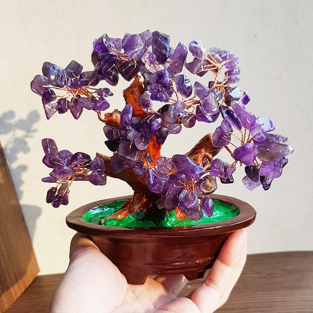 (Chọn màu) Cây Tài Lộc ngũ sắc size 16cm